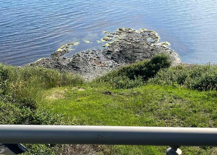 арапя 2* Zarewo